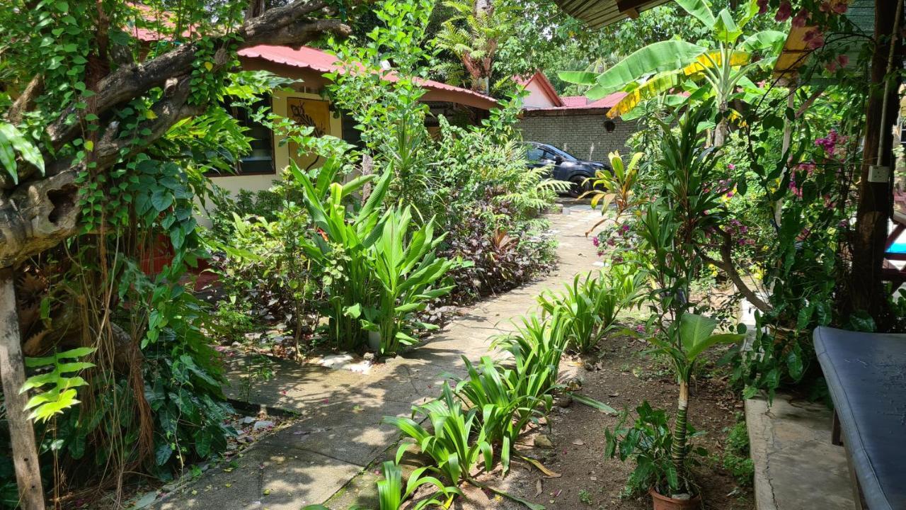 Gecko Guesthouse Pantai Cenang (Langkawi) Exterior foto