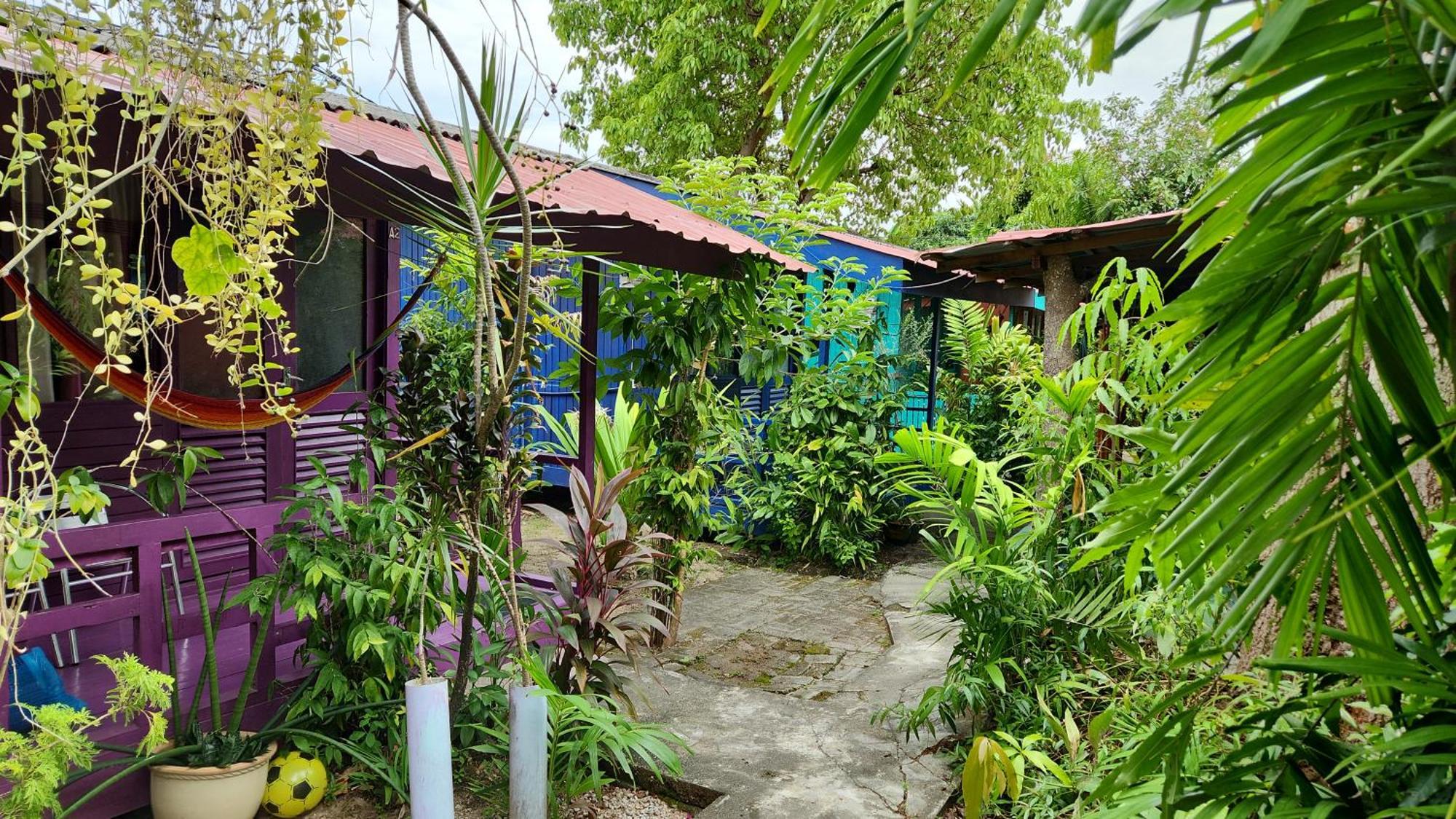 Gecko Guesthouse Pantai Cenang (Langkawi) Exterior foto