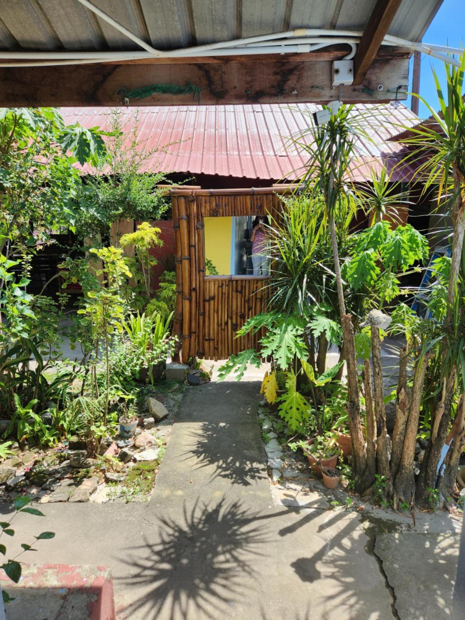 Gecko Guesthouse Pantai Cenang (Langkawi) Exterior foto